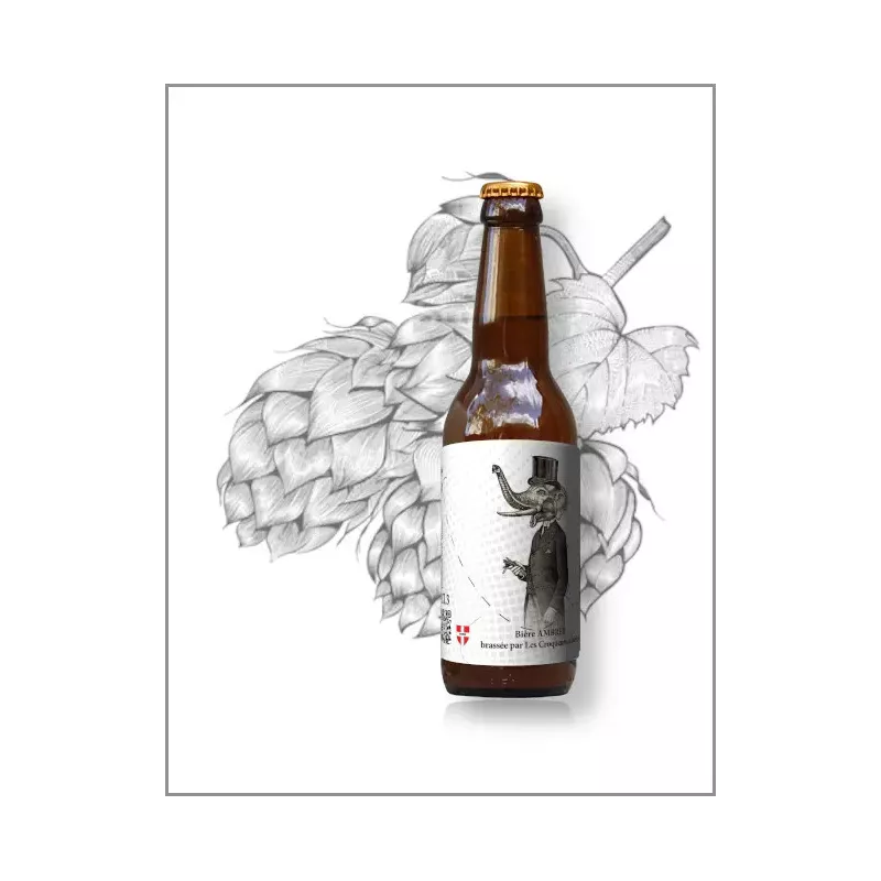 Bière ambrée en 33cl