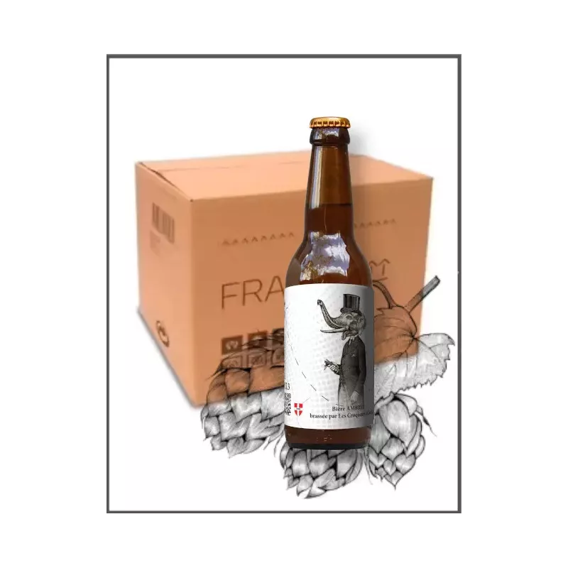 Pack 6 bières ambrée en 33cl