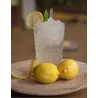 Limonade Citron Citron vert
