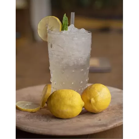 Limonade Citron Gingembre